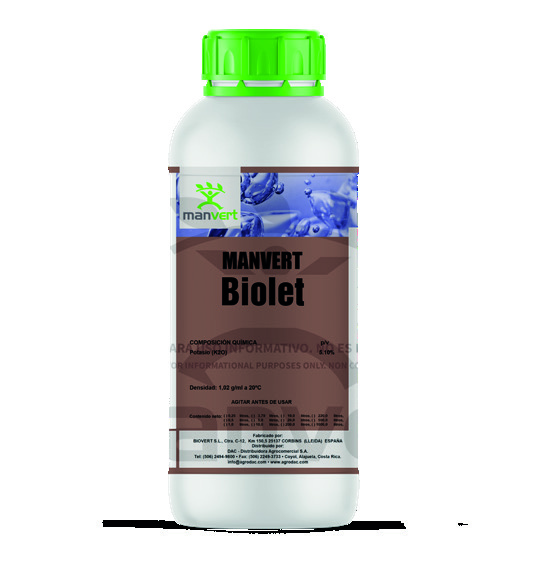 Manvert biolet