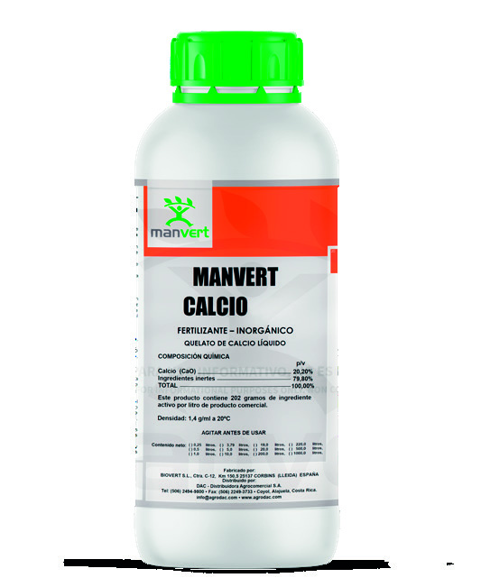 Manvert calcio